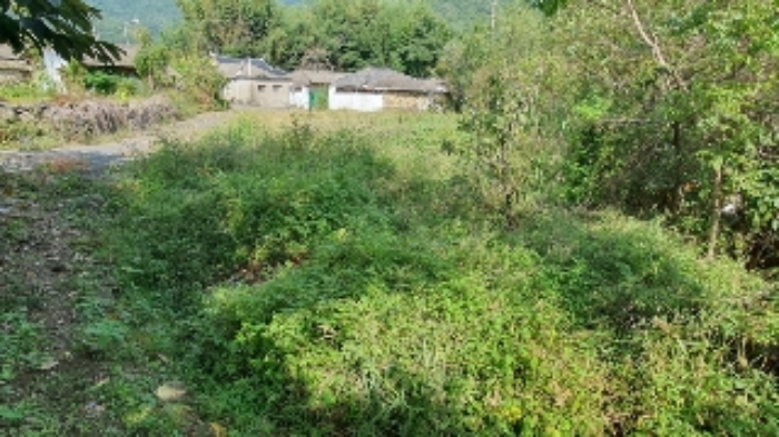 창원시 마산합포구 진전면 답 경매 물건 사진