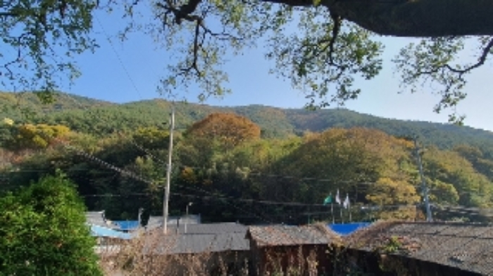 창원시 마산합포구 진동면 임야 경매 물건 사진