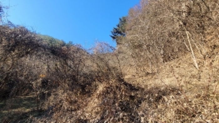 창원시 마산회원구 내서읍 임야 경매 물건 사진