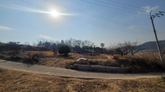 함안군 법수면 사정리 전 경매 물건 사진
