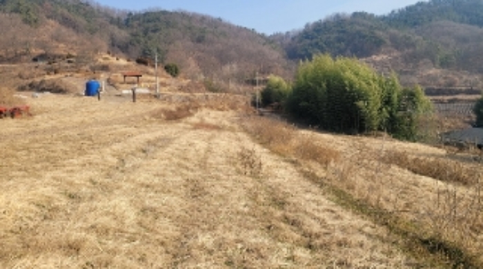 함안군 법수면 강주리 대지 경매 물건 사진
