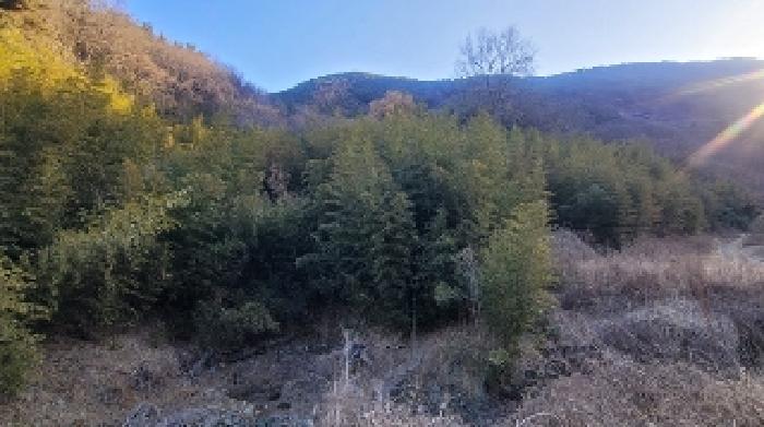 함안군 군북면 박곡리 답 경매 물건 사진