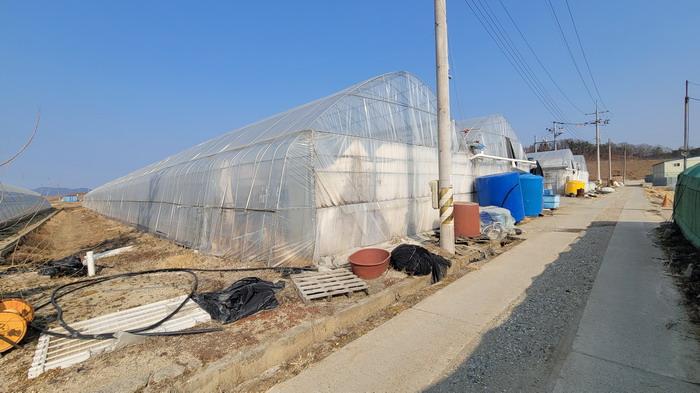 함안군 법수면 윤내리 답 경매 물건 사진