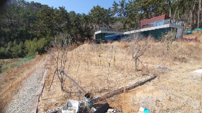 창원시 마산합포구 덕동동 상업 99 경매 물건 사진