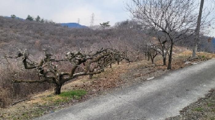 함안군 칠북면 덕남리 전 경매 물건 사진