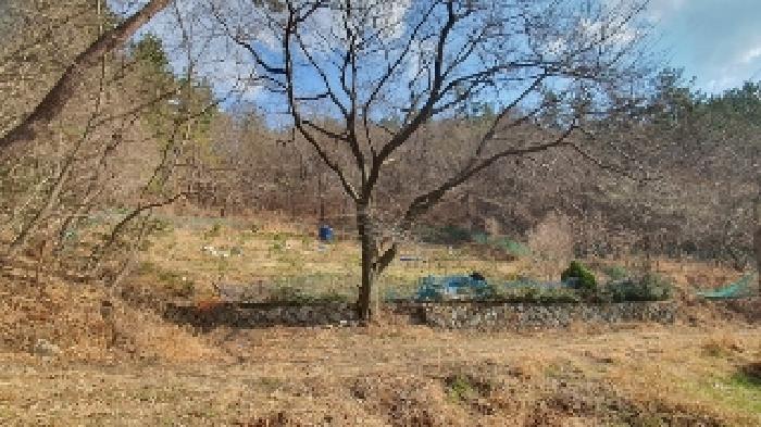 창원시 마산합포구 구산면 전 경매 물건 사진