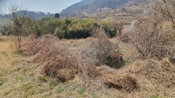 창원시 마산합포구 진동면 답 경매 물건 사진