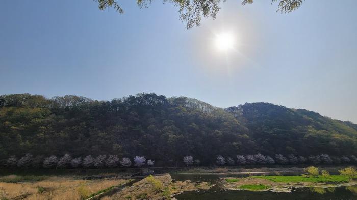 함안군 가야읍 검암리 임야 경매 물건 사진