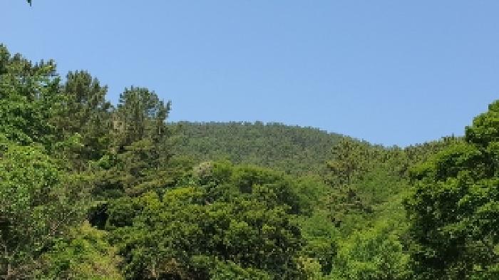 창원시 마산합포구 진동면 답 경매 물건 사진