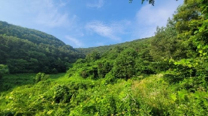 의령군 지정면 유곡리 전 경매 물건 사진