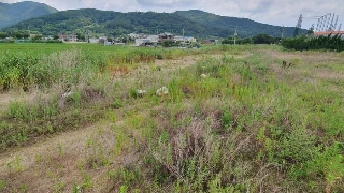 창원시 마산합포구 진동면 답 경매 물건 사진