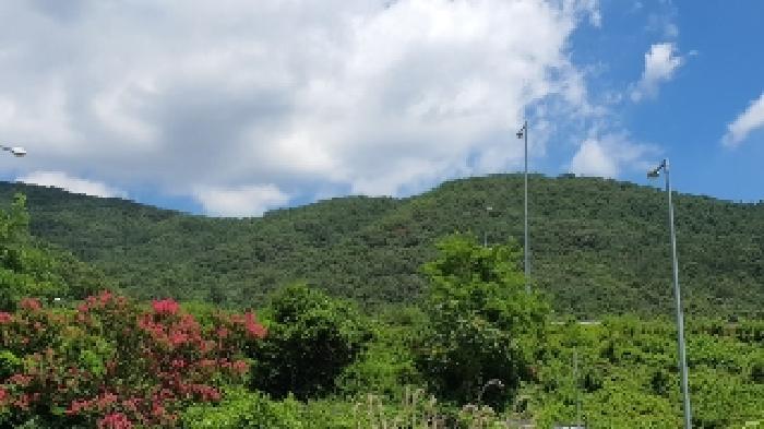 창원시 마산합포구 진북면 대지 경매 물건 사진