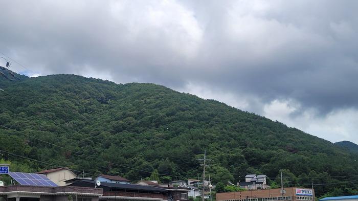 함안군 칠원읍 무기리 답 경매 물건 사진