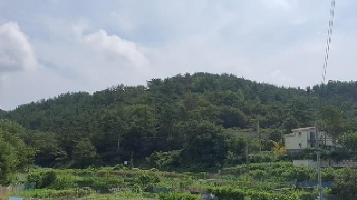 창원시 마산합포구 구산면 임야 경매 물건 사진
