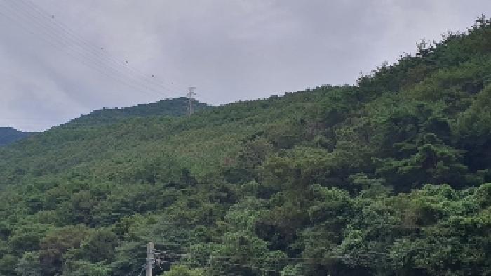 창원시 마산합포구 진동면 임야 경매 물건 사진