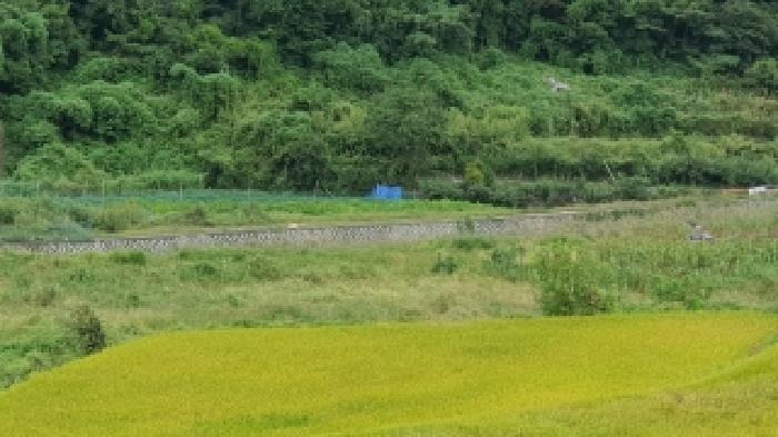 창원시 마산합포구 진전면 답 경매 물건 사진