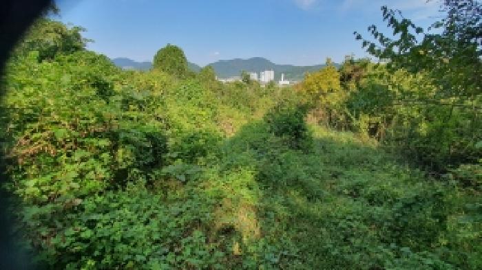 창원시 마산합포구 진동면 전 경매 물건 사진