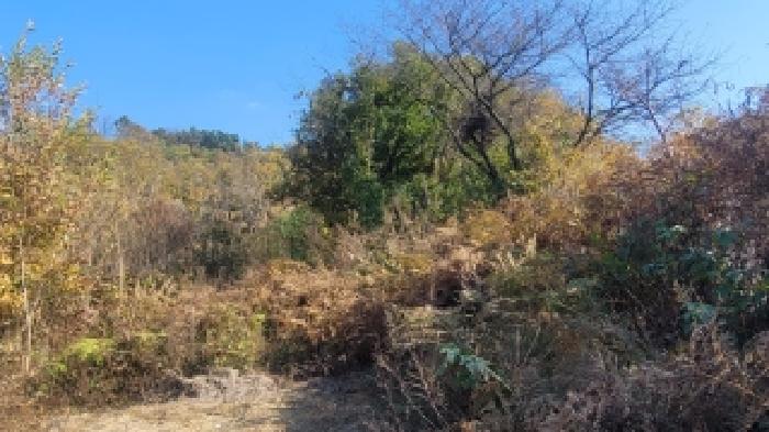 함안군 가야읍 산서리 전 경매 물건 사진