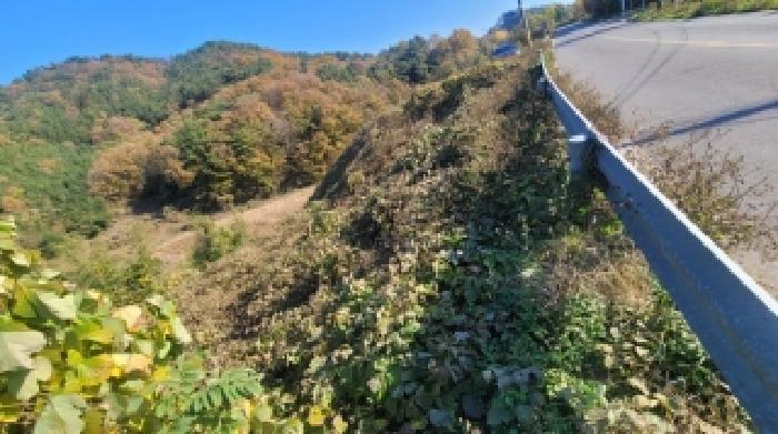 함안군 법수면 강주리 대지,임야,전답 경매 물건 사진