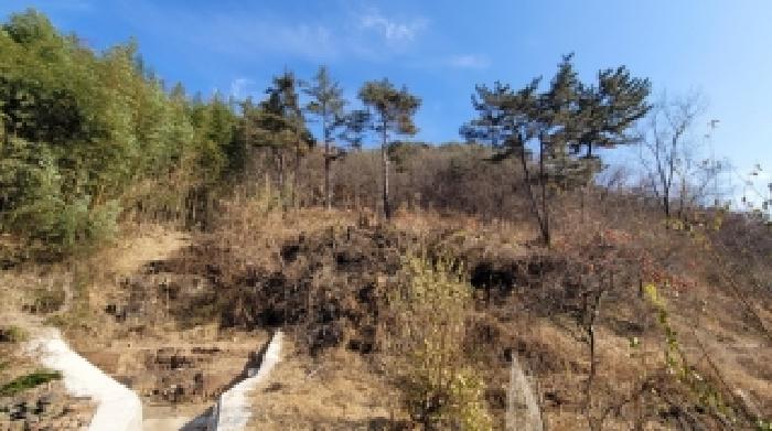 의령군 정곡면 중교리 전 경매 물건 사진