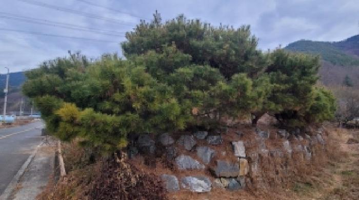 의령군 의령읍 하리 단독주택 경매 물건 사진