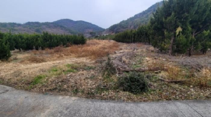 창원시 마산회원구 두척동 전답 경매 물건 사진