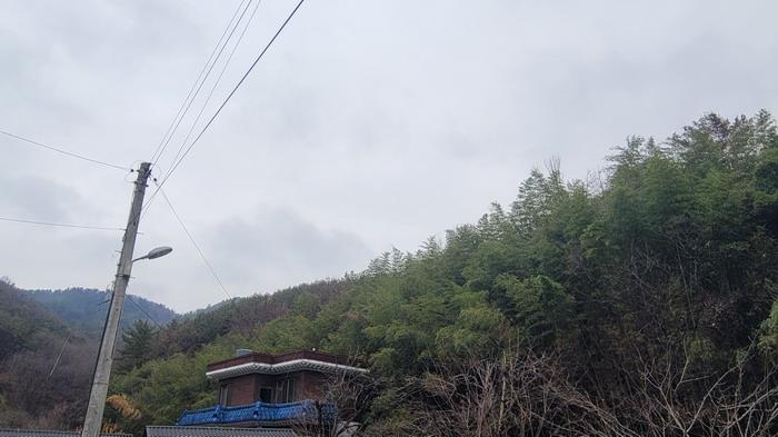 함안군 대산면 장암리 전 경매 물건 사진
