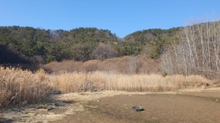 창원시 마산합포구 진동면 답 경매 물건 사진