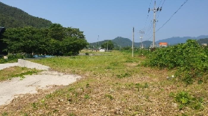 창원시 마산합포구 진동면 전 경매 물건 사진