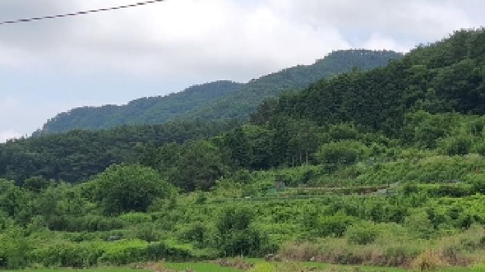 창원시 마산합포구 구산면 전 경매 물건 사진