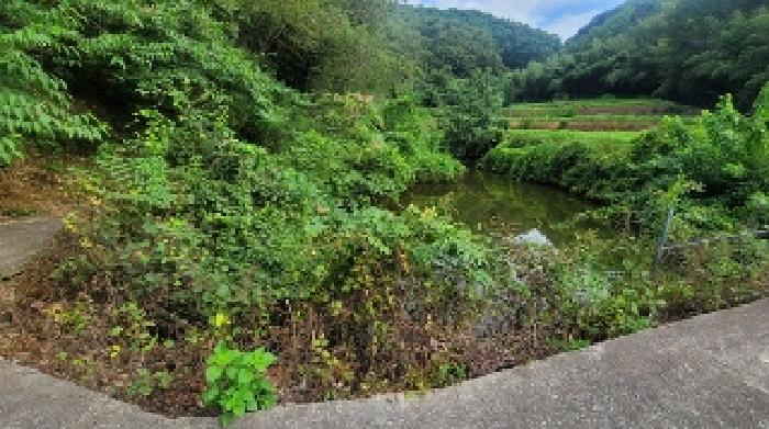 의령군 지정면 득소리 전 경매 물건 사진