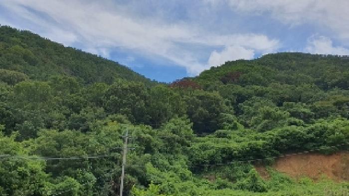 창원시 마산합포구 구산면 임야 경매 물건 사진
