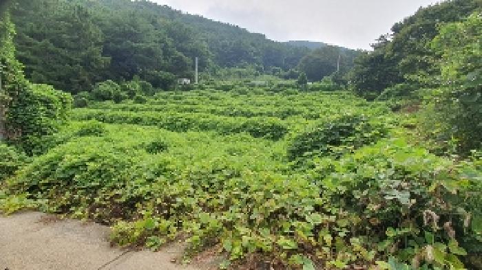 창원시 마산합포구 구산면 답 경매 물건 사진