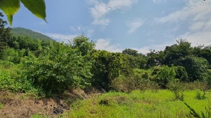 창원시 마산합포구 진동면 전 경매 물건 사진
