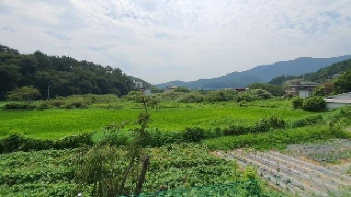 창원시 마산합포구 구산면 답 경매 물건 사진