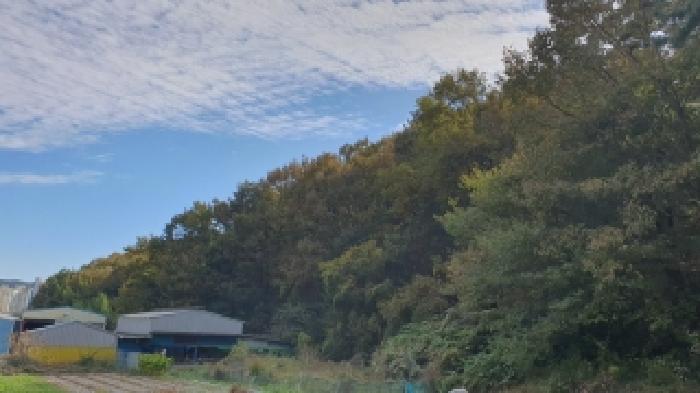 창원시 마산합포구 진북면 임야 경매 물건 사진
