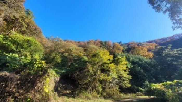 의령군 대의면 중촌리 임야 경매 물건 사진