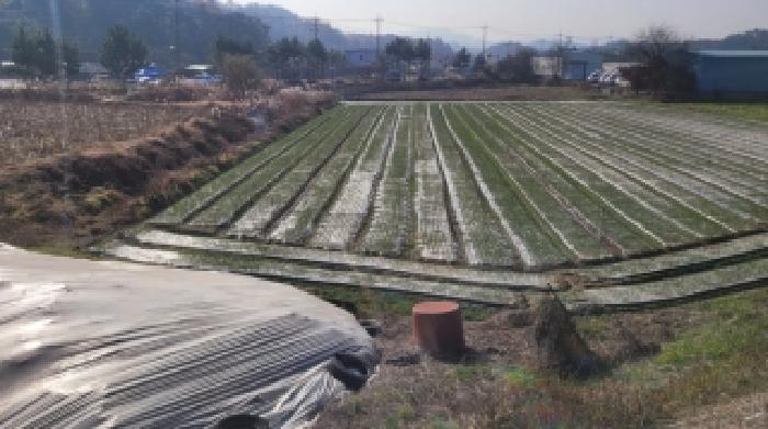 함안군 칠서면 용성리 답 경매 물건 사진