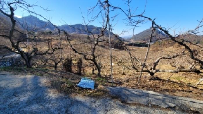 함안군 칠북면 봉촌리 과수원 경매 물건 사진