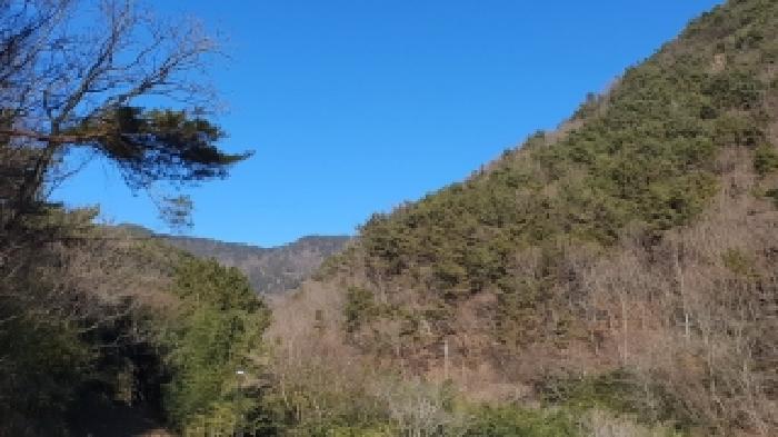 창원시 마산합포구 진전면 대지,임야,전답 경매 물건 사진