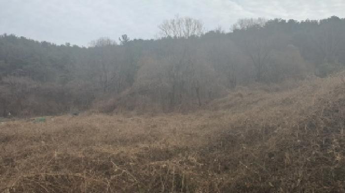 창원시 마산합포구 구산면 전답 경매 물건 사진