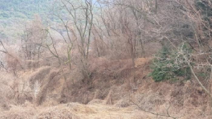 창원시 마산합포구 진북면 전답 경매 물건 사진