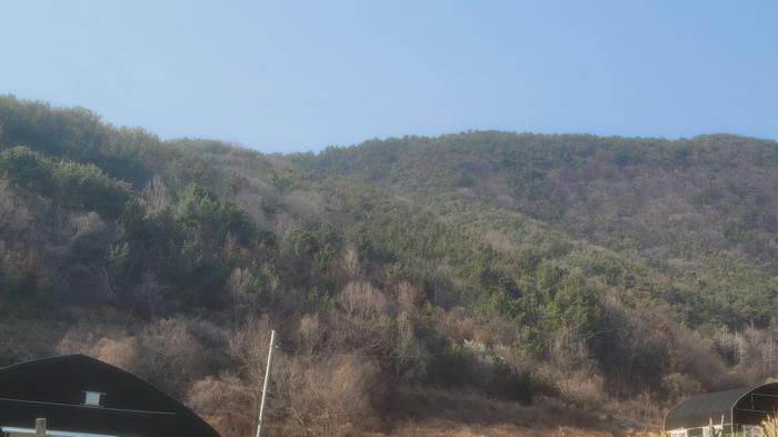 창원시 마산회원구 내서읍 임야 경매 물건 사진