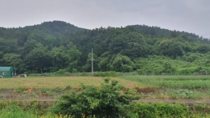 창원시 마산합포구 구산면 전답 경매 물건 사진