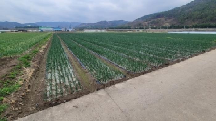 의령군 부림면 감암리 답 경매 물건 사진