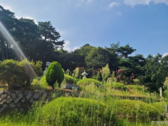 장성군 진원면 율곡리 임야 경매 물건 사진