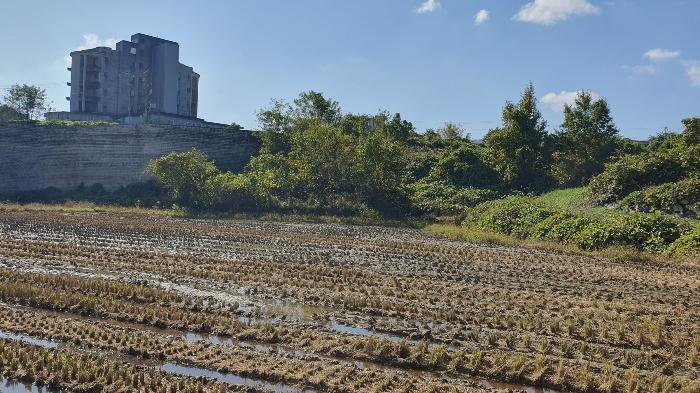 곡성군 오산면 운곡리 전 경매 물건 사진