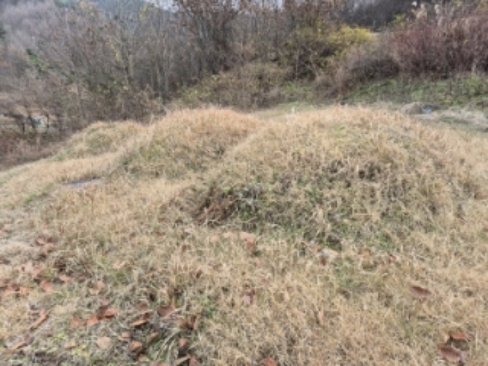 곡성군 고달면 목동리 전 경매 물건 사진