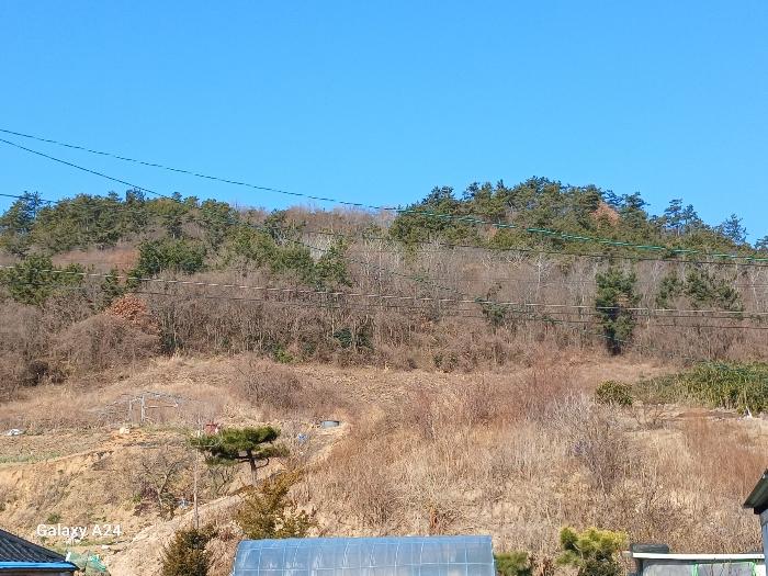 영광군 염산면 봉남리 임야 경매 물건 사진