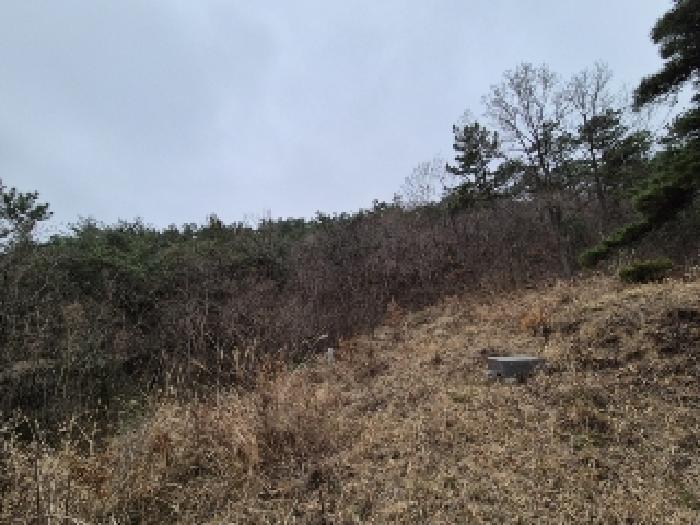 나주시 삼영동 산42 임야 경매 물건 사진